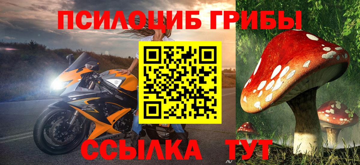 Псилоцибиновые грибы Psilocybine cubensis Бирск
