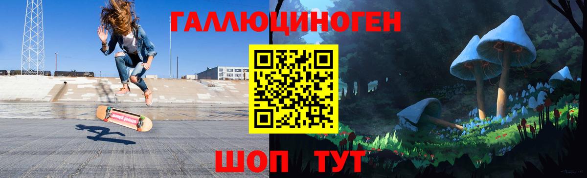 Псилоцибиновые грибы Psilocybine cubensis  Вход с VPN  Бирск 